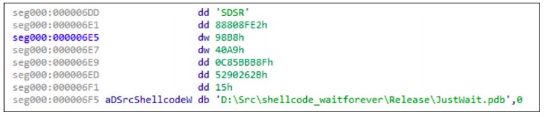 Figure 16. Debugging information inside the shellcode